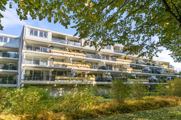 Foto 2 van Prof. Schermerhornpark 72