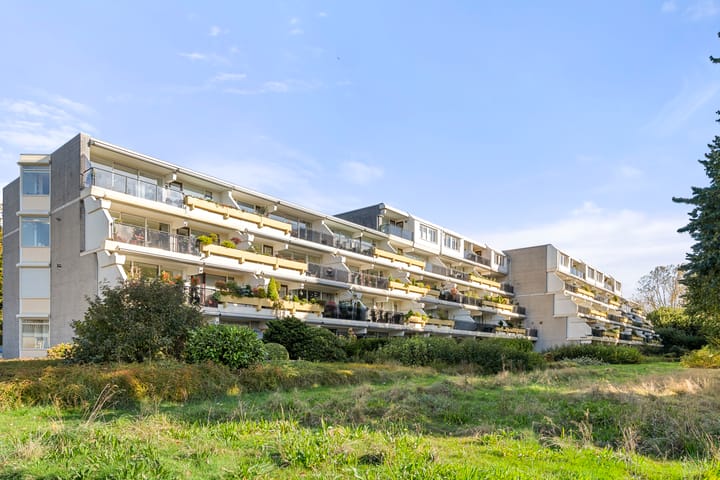 Foto 4 van Prof. Schermerhornpark 72