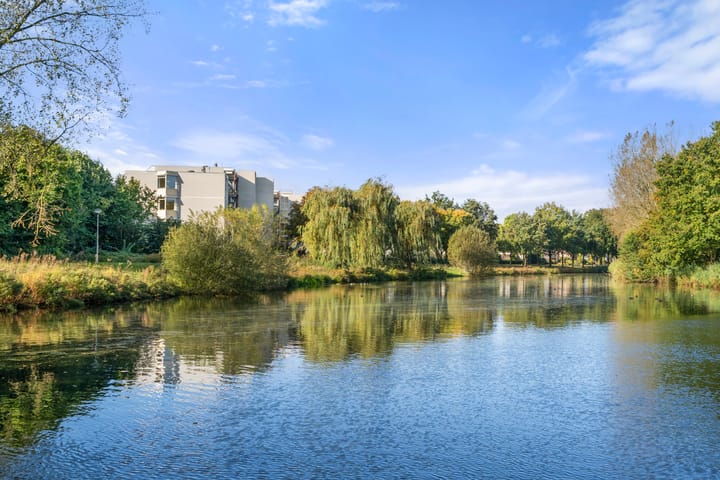 Foto 6 van Prof. Schermerhornpark 72