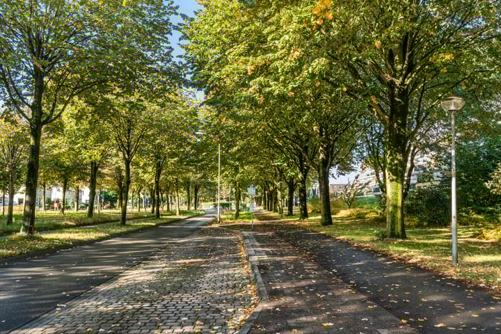 Foto 7 van Prof. Schermerhornpark 72