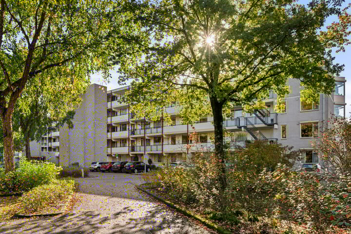 Foto 10 van Prof. Schermerhornpark 72