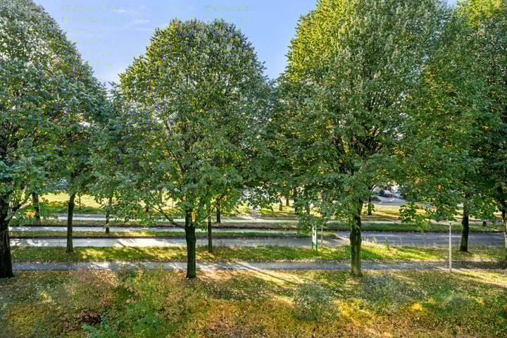 Foto 20 van Prof. Schermerhornpark 72