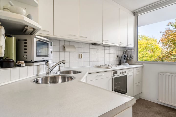 Foto 31 van Prof. Schermerhornpark 72