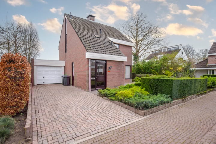 Foto 5 van De Roeden 5