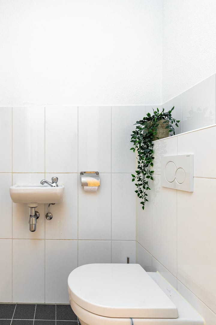 Foto 6 van Kaapstander 200