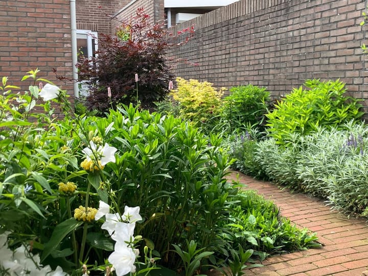 Foto 37 van Middenlaan 21