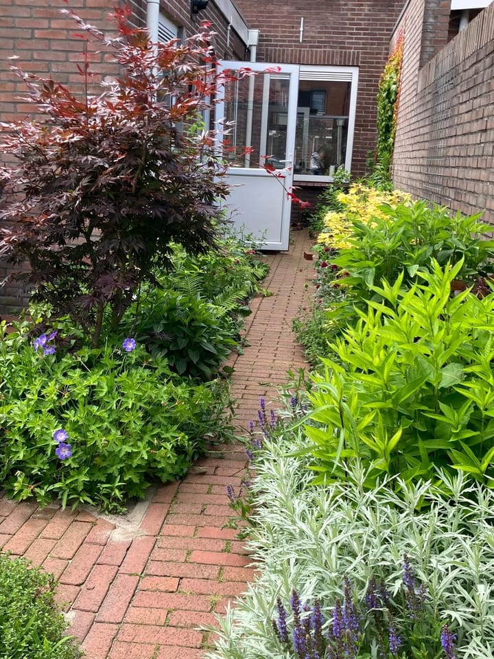 Foto 41 van Middenlaan 21