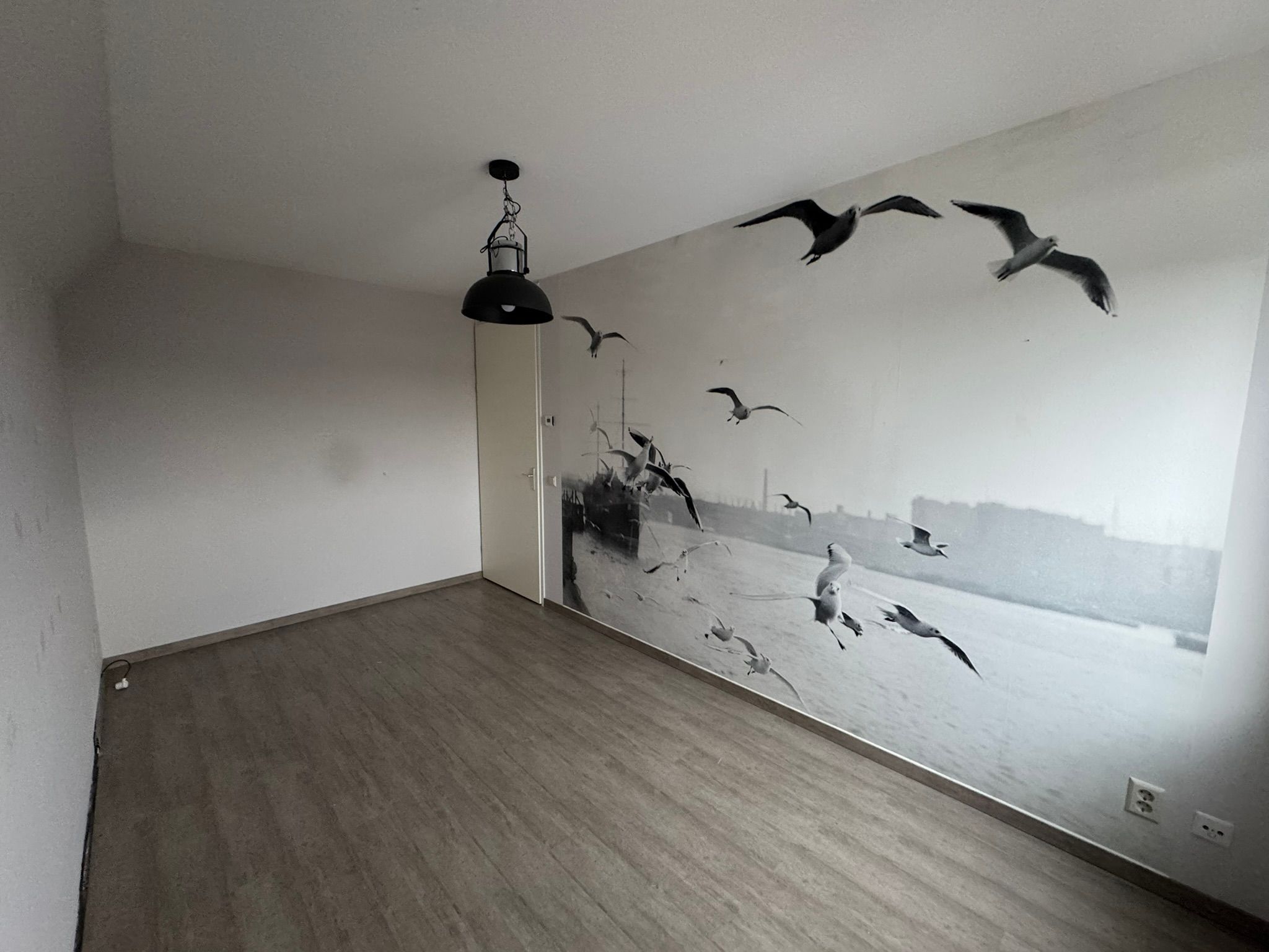 Photo 21 of Dorpstienden 14-M