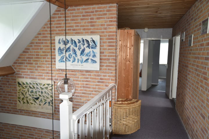 Bekijk foto 16 van Blauwhand 11