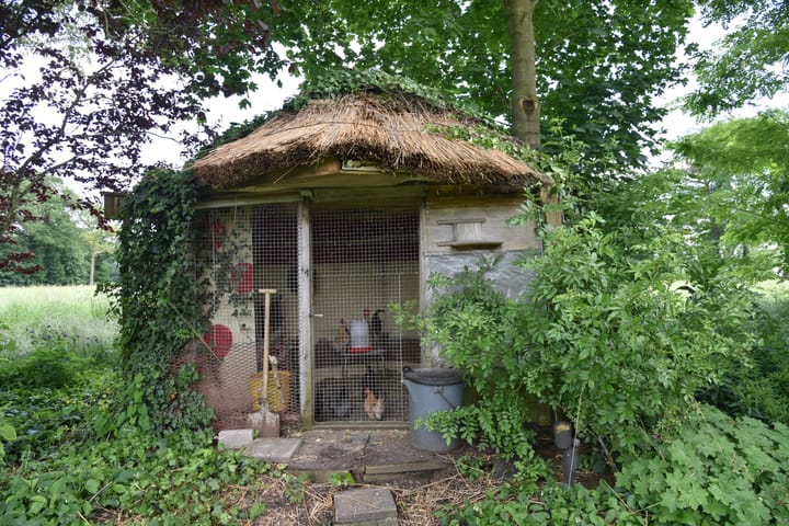 Photo 31 of Blauwhand 11