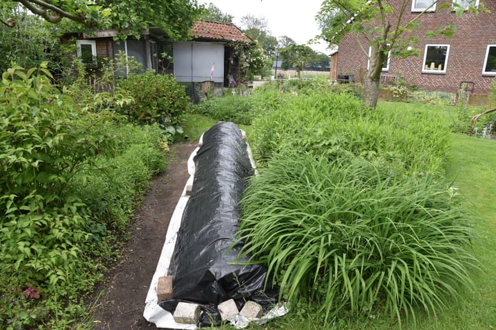 Photo 34 of Blauwhand 11