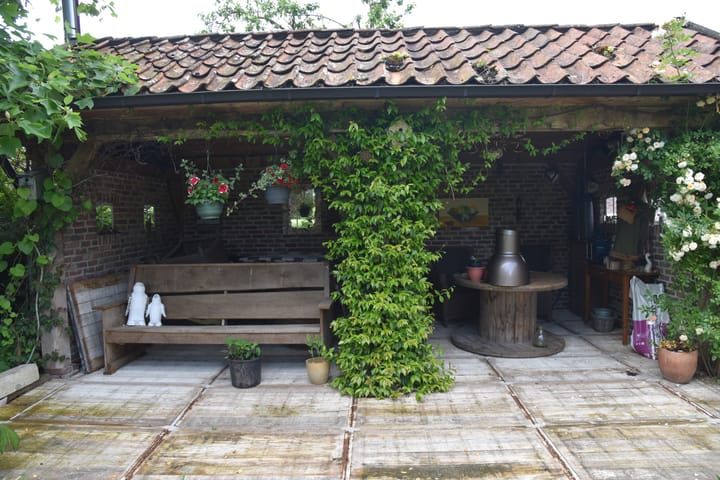 Photo 37 of Blauwhand 11