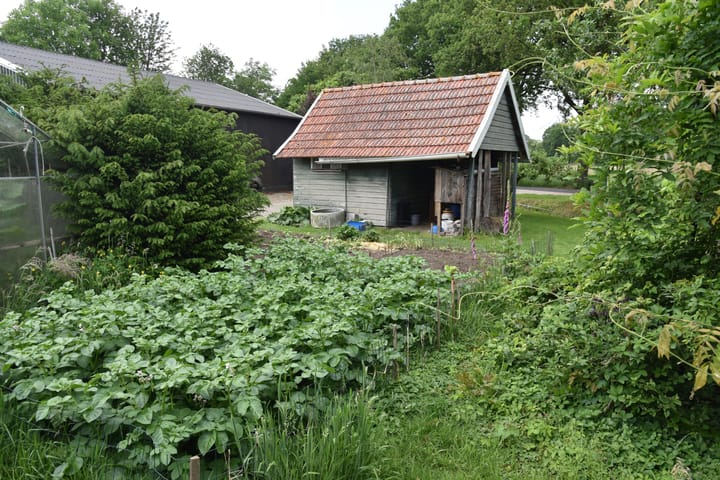 Photo 46 of Blauwhand 11