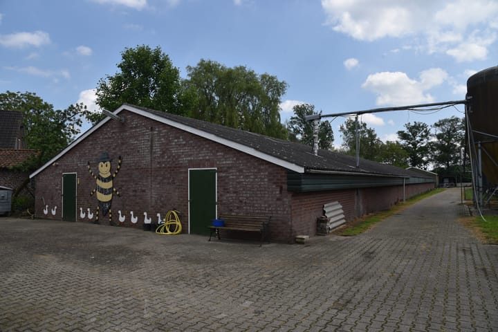 Photo 49 of Blauwhand 11