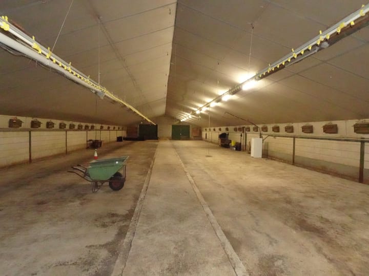 Photo 52 of Blauwhand 11