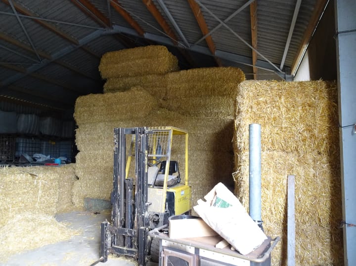 Photo 54 of Blauwhand 11