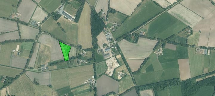 Photo 60 of Blauwhand 11