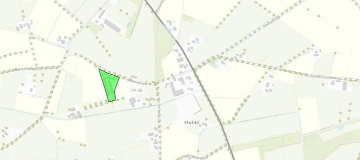 Photo 61 of Blauwhand 11