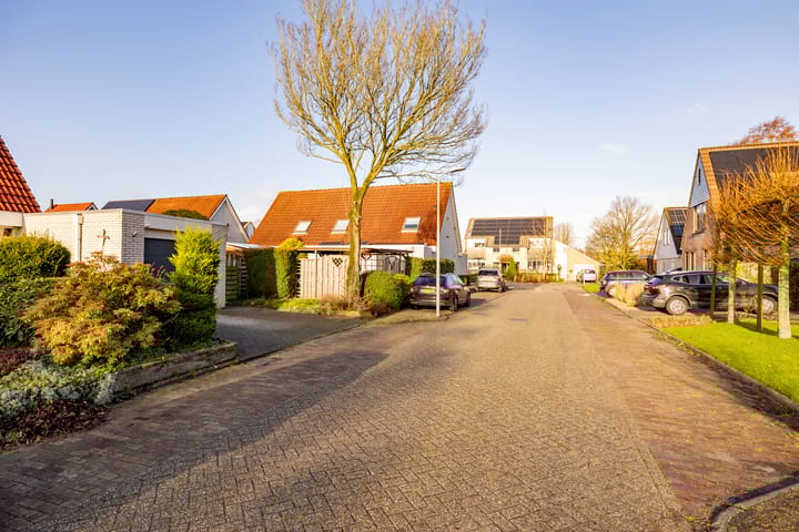 Foto 50 van De Zende 5