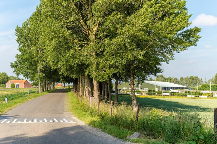 Foto 41 van Sint Jooslandstraat 11