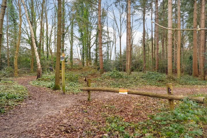 Foto 50 van Bosbouwkamp 43