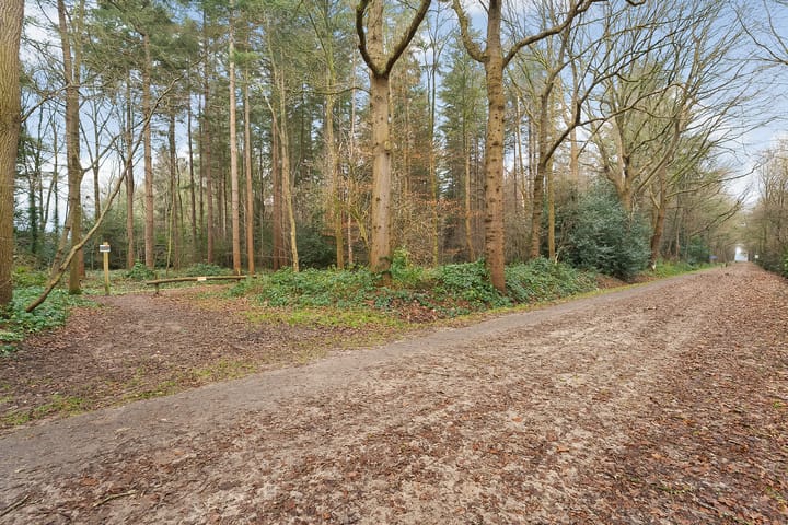 Foto 51 van Bosbouwkamp 43