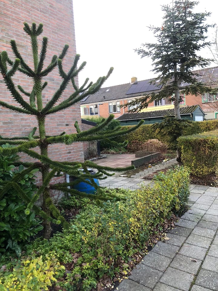 Foto 4 van Anjelierlaan 26