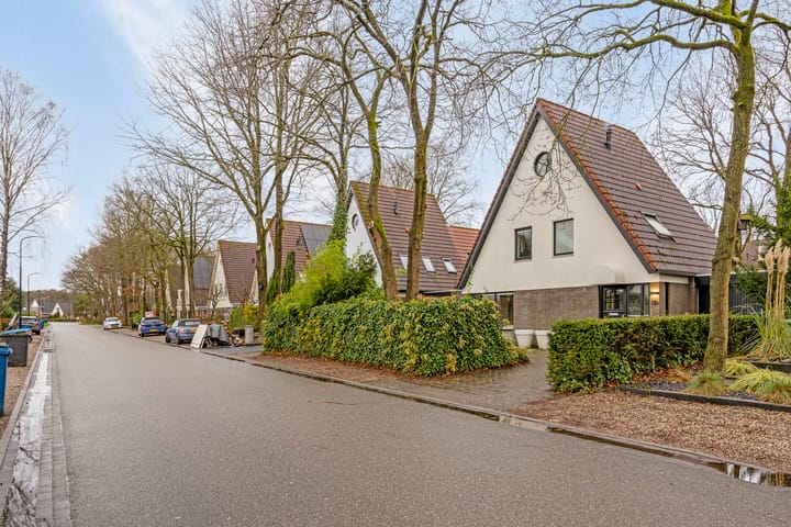 Photo 51 of Hoog Buurloseweg 18-B