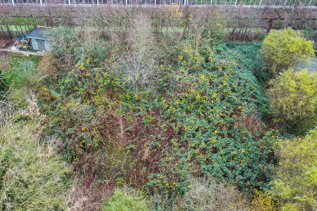 Photo 13 of de Ruyterstraat 11