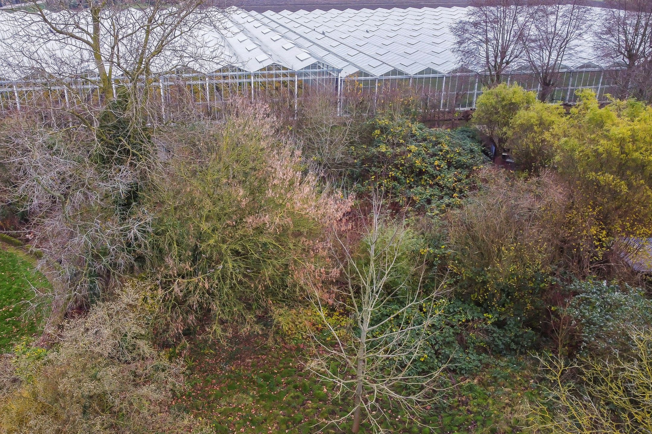 Photo 12 of de Ruyterstraat 11