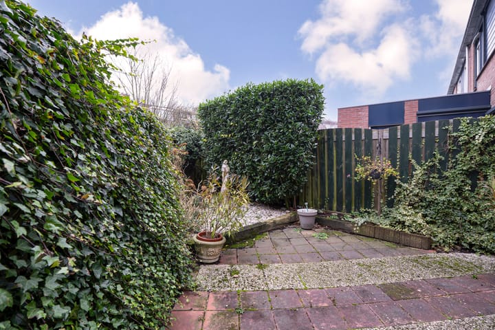 Foto 26 van Boomklever 22