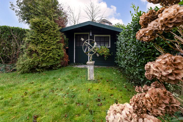 Foto 4 van Boomklever 22