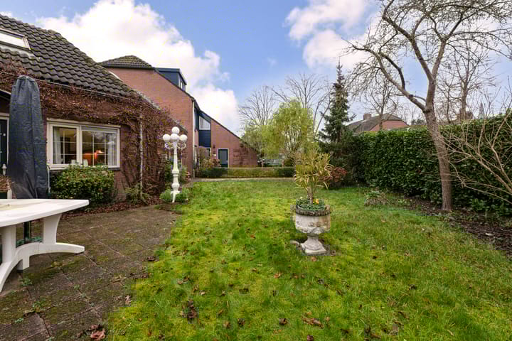 Foto 45 van Boomklever 22