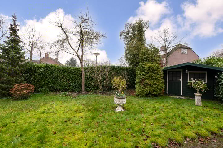 Foto 43 van Boomklever 22