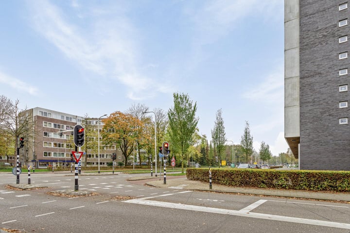 View photo 6 of Professor de Moorplein 458