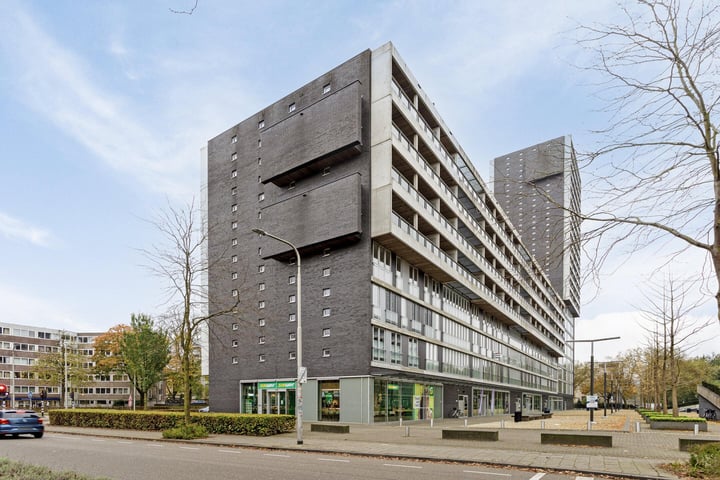 View photo 7 of Professor de Moorplein 458