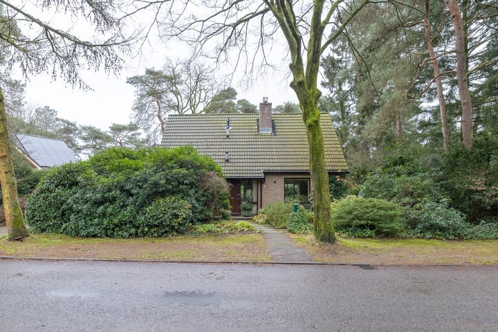 Foto 48 van Karel Doormanlaan 4