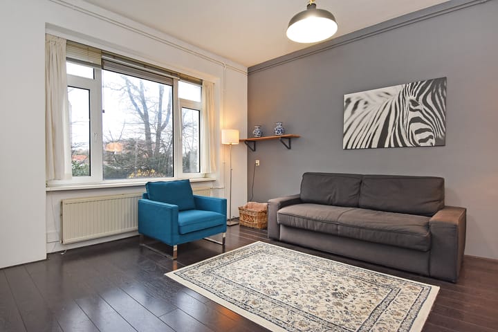 Foto 10 van Van Alkemadelaan 516