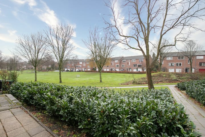 Foto 24 van Leemkoel 8