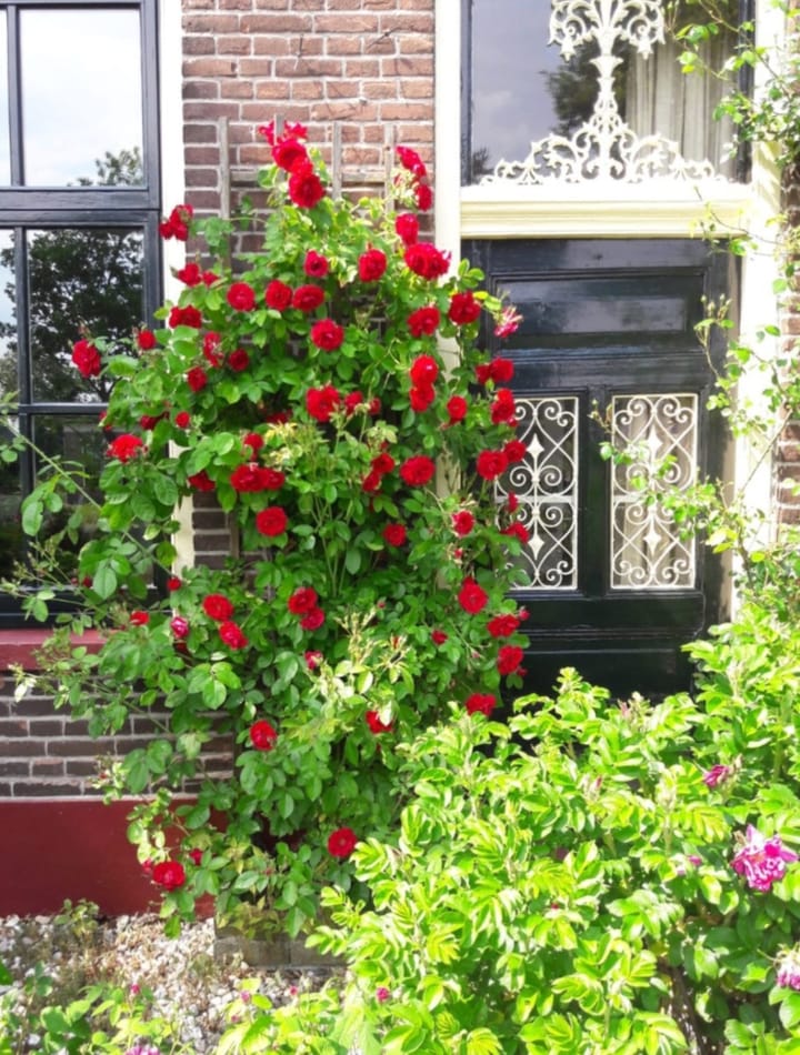 Foto 64 van Wolddijk 17