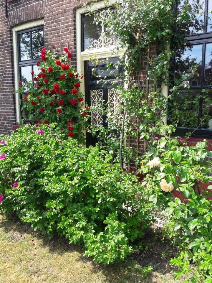 Foto 65 van Wolddijk 17