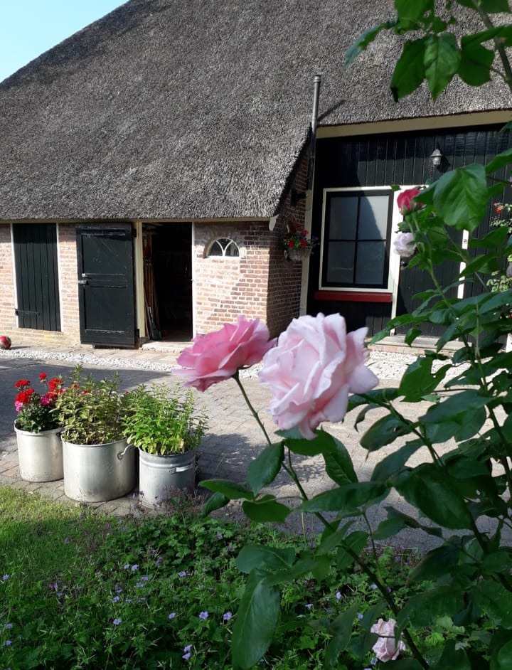 Foto 67 van Wolddijk 17