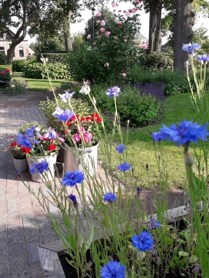 Foto 68 van Wolddijk 17