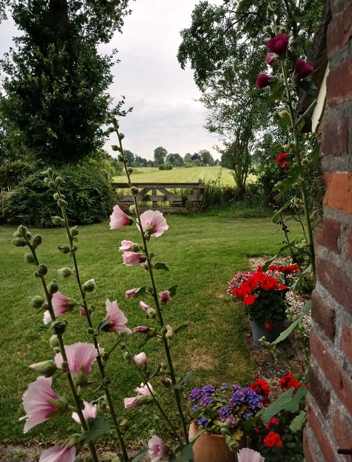 Foto 69 van Wolddijk 17