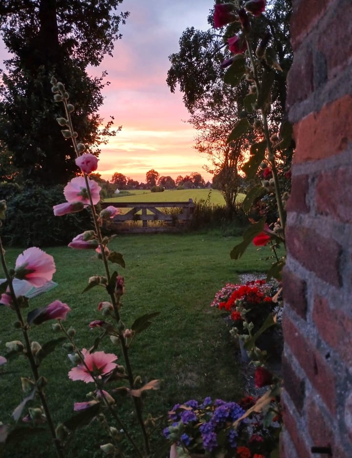 Foto 70 van Wolddijk 17