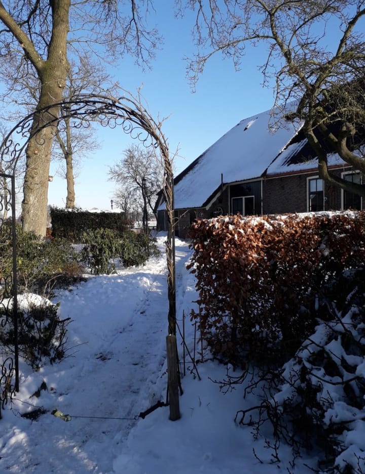 Foto 71 van Wolddijk 17