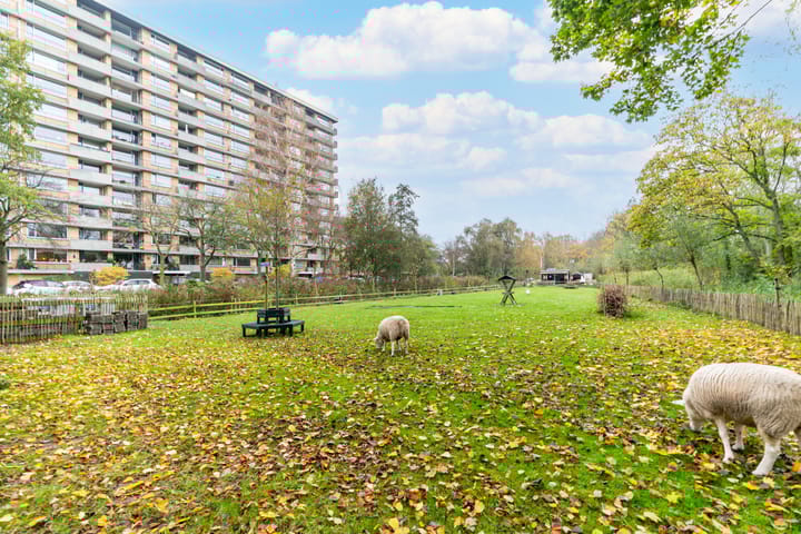 Foto 36 van John F. Kennedylaan 145