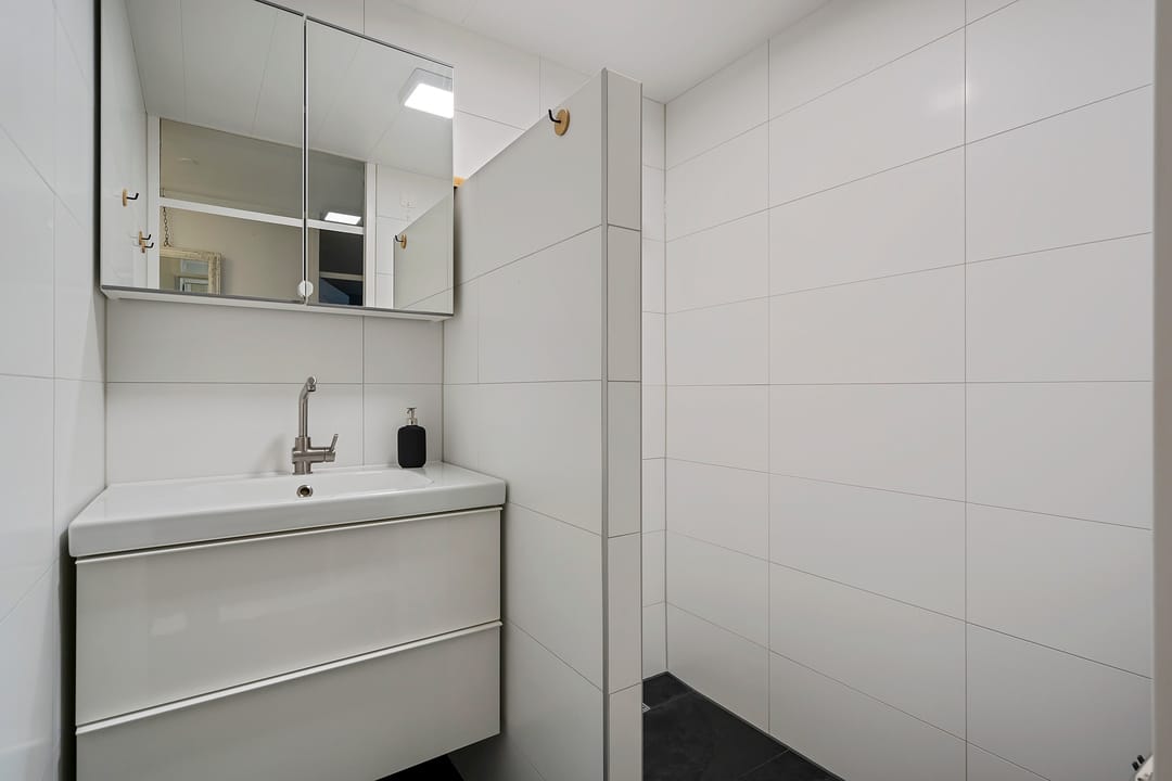 Foto 2 van de Swaenenborgh 51