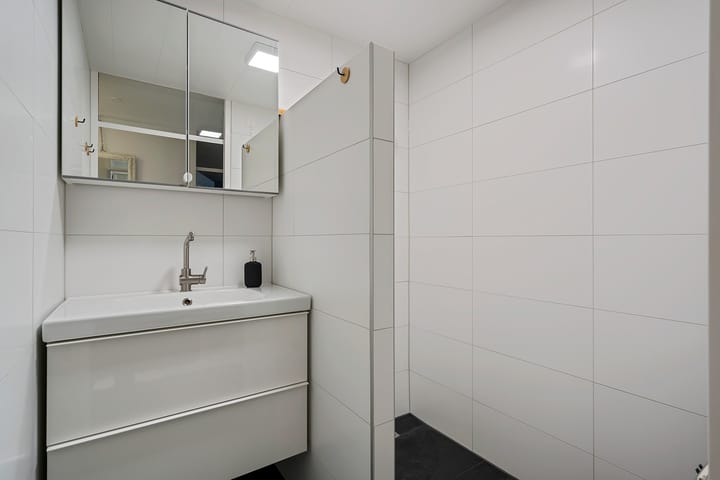 Foto 2 van de Swaenenborgh 51