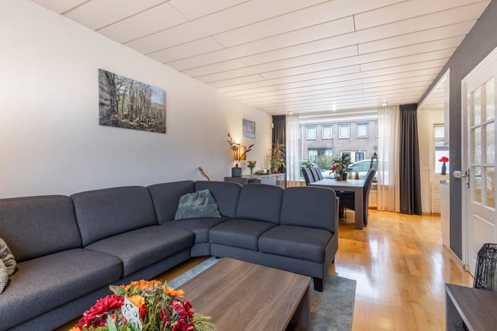 Foto 4 van Troelstrastraat 52